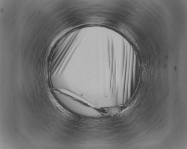 X0000066960939200604211838