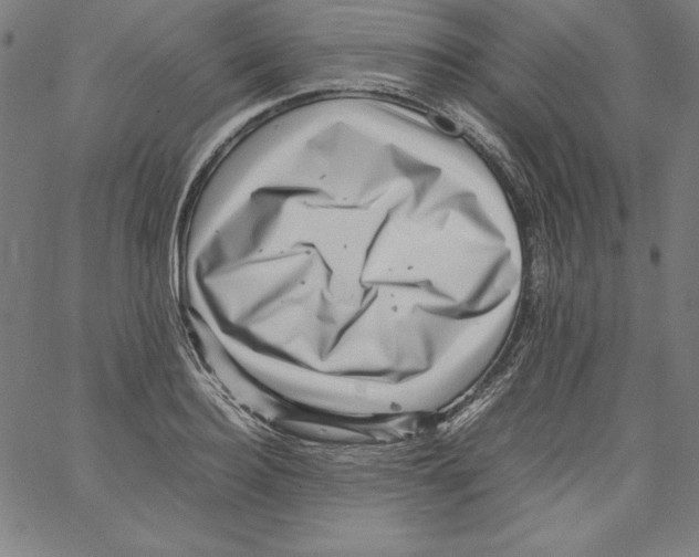 X0000066960940200604211838