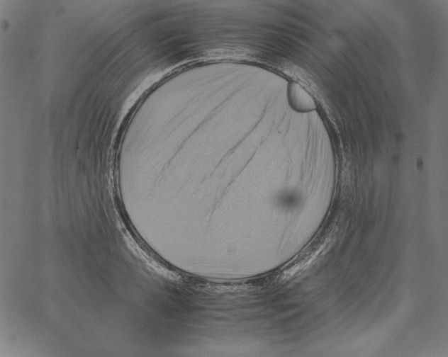 X0000066960941200604211838