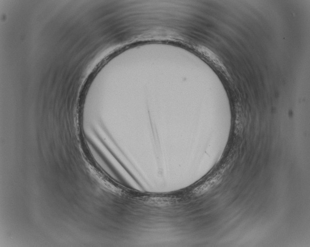 X0000066960942200604211838