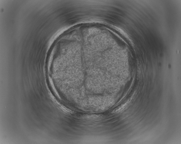 X0000066960943200604211838