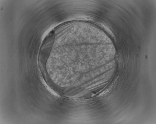 X0000066960944200604211838