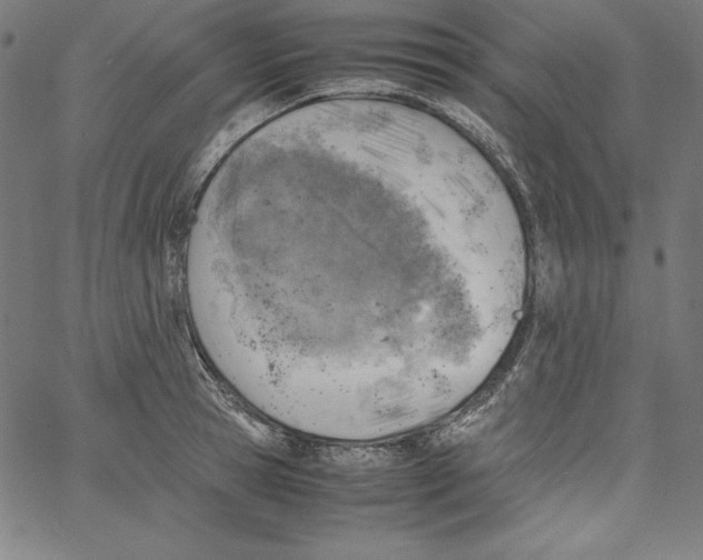 X0000066960945200604211838