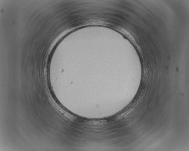 X0000066960947200604211838