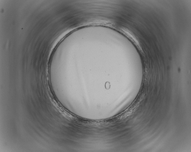 X0000066960948200604211838