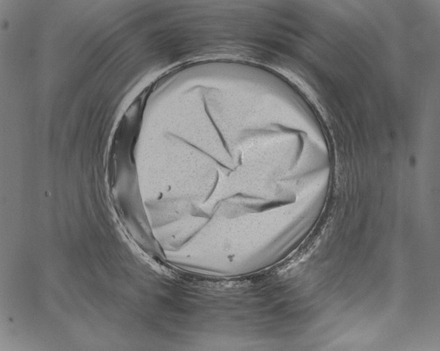 X0000066960949200604211838