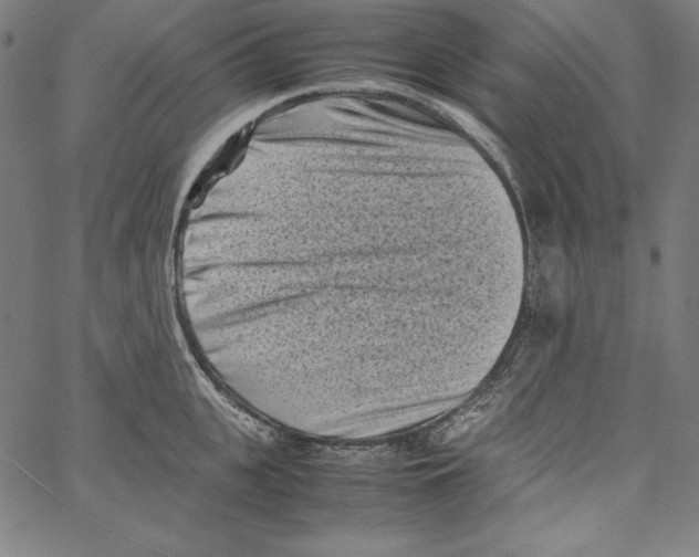 X0000066960951200604211838