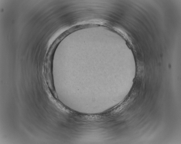 X0000066960952200604211838