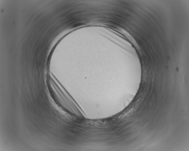 X0000066960955200604211838