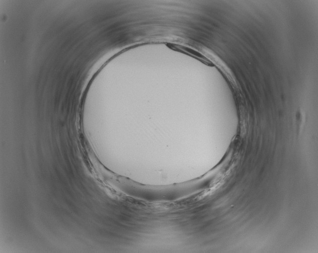 X0000066960956200604211838