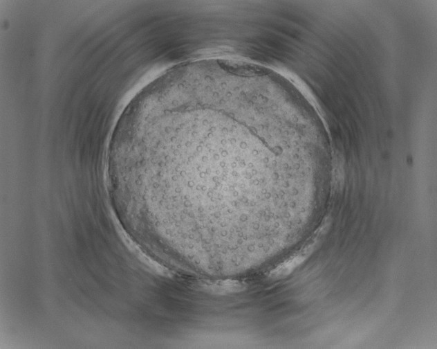 X0000066960957200604211838