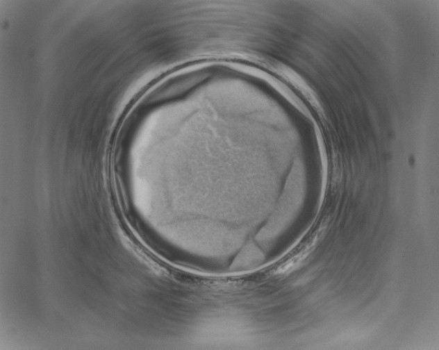 X0000066960958200604211838