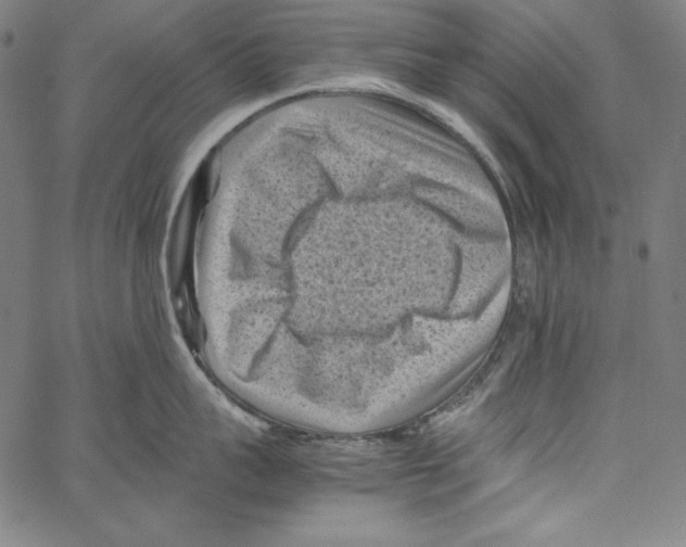 X0000066960959200604211838