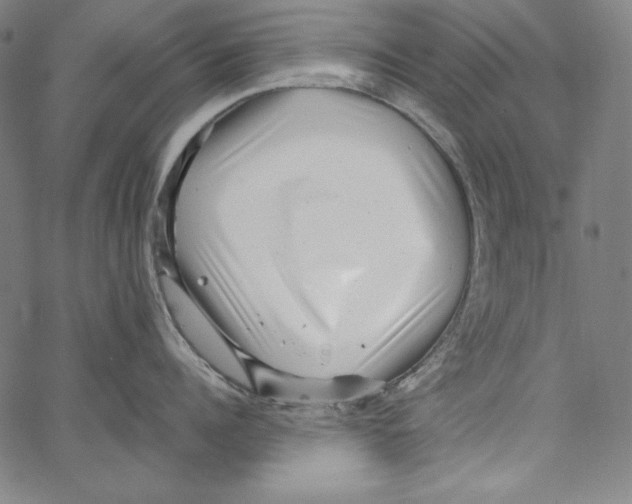 X0000066960960200604211838