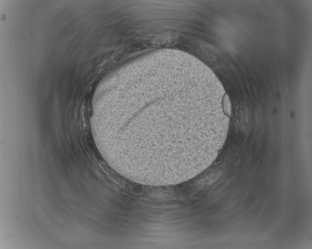 X0000066960962200604211837