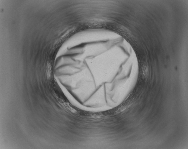 X0000066960964200604211837