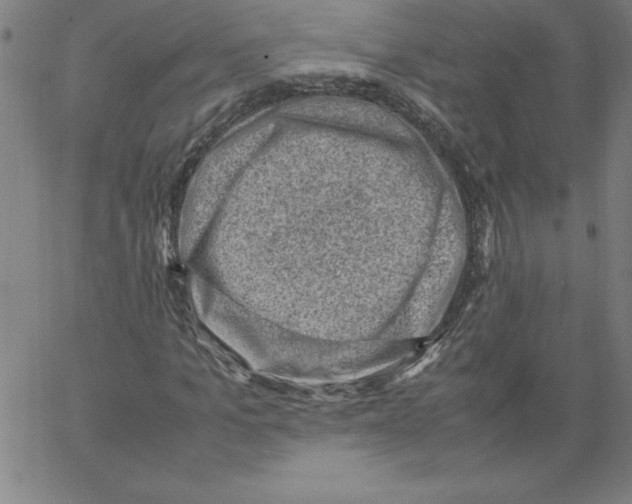 X0000066960965200604211837