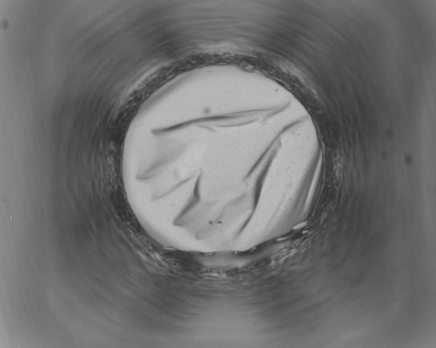 X0000066960968200604211837