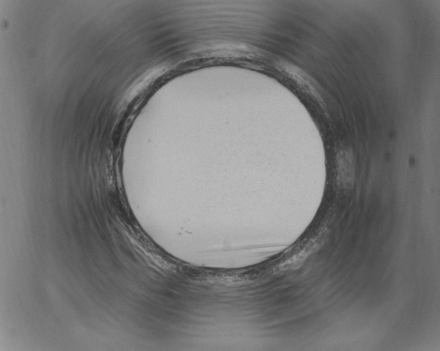 X0000066960970200604211837