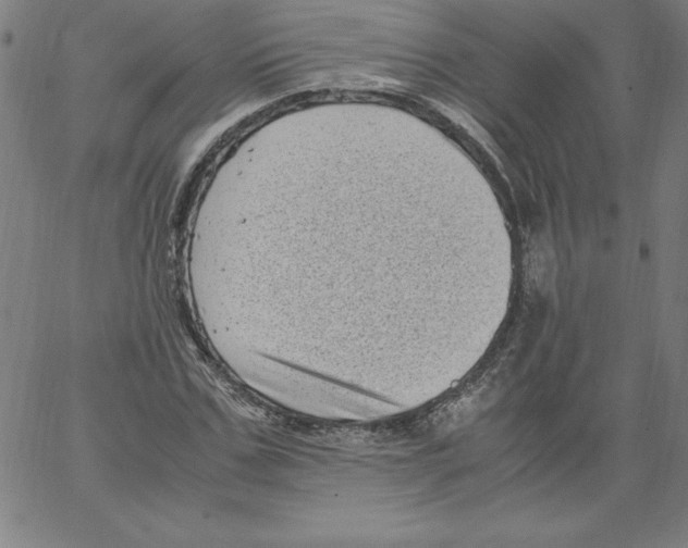 X0000066960971200604211837