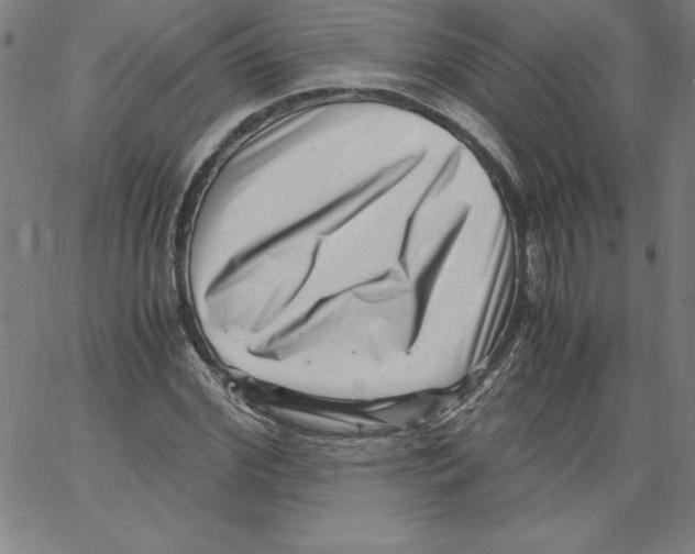 X0000066960972200604211837