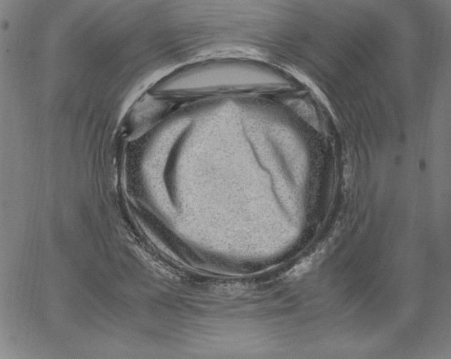 X0000066960973200604211837