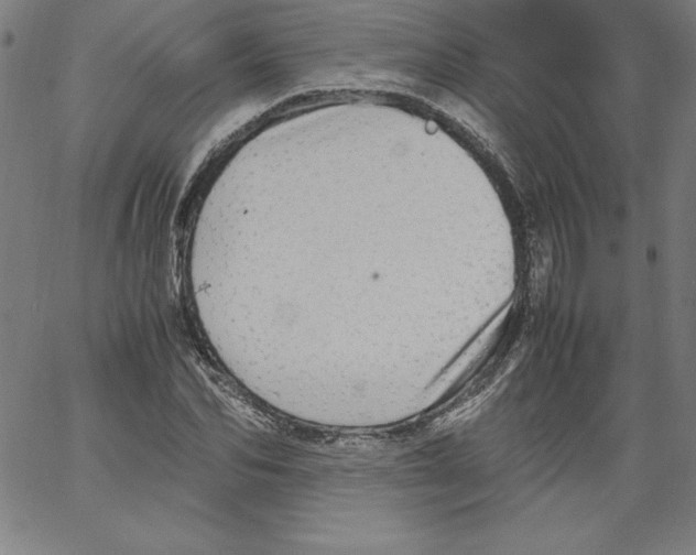 X0000066960974200604211837