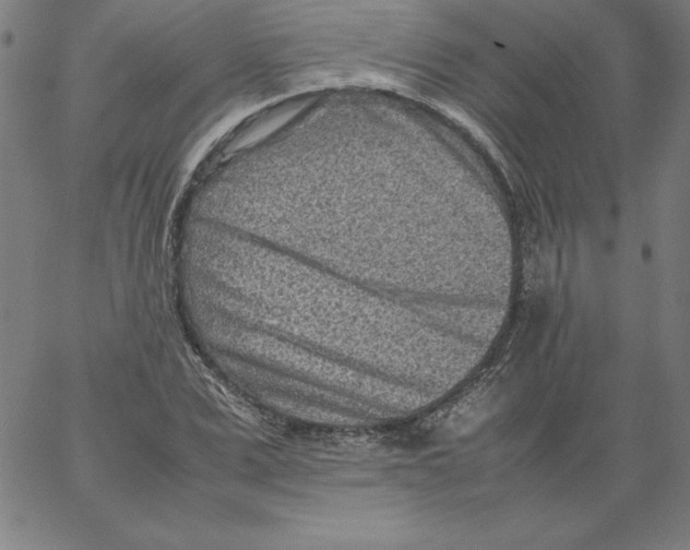 X0000066960975200604211837