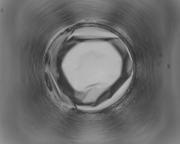 X0000066960976200604211837