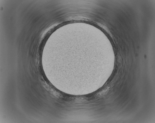 X0000066960979200604211837