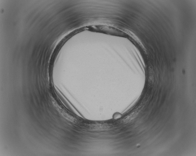 X0000066960980200604211837