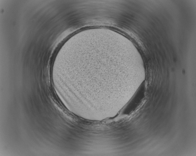 X0000066960982200604211837