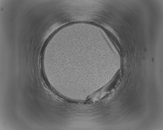 X0000066960983200604211837