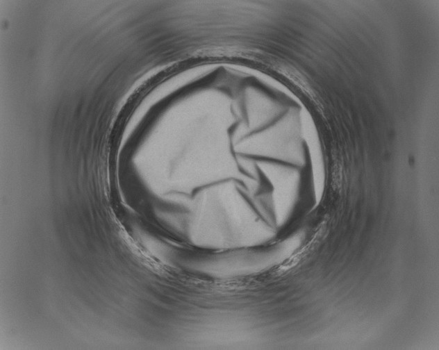 X0000066960984200604211837