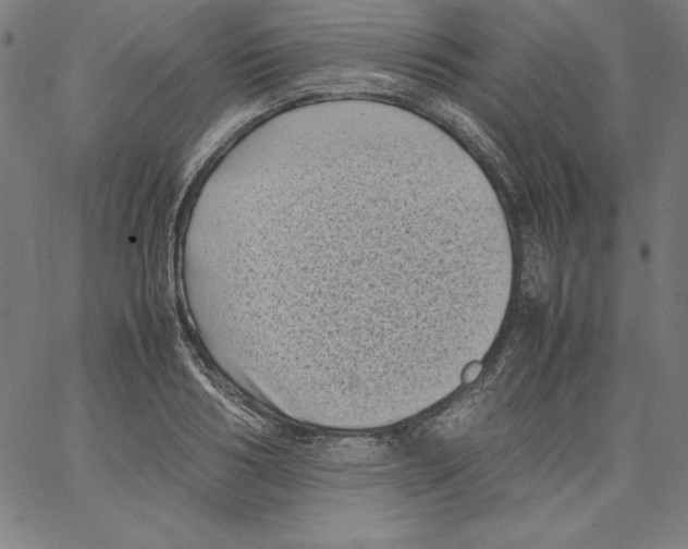 X0000066960986200604211837