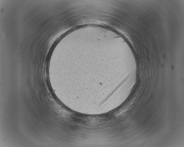 X0000066960987200604211837