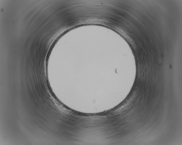 X0000066960988200604211837