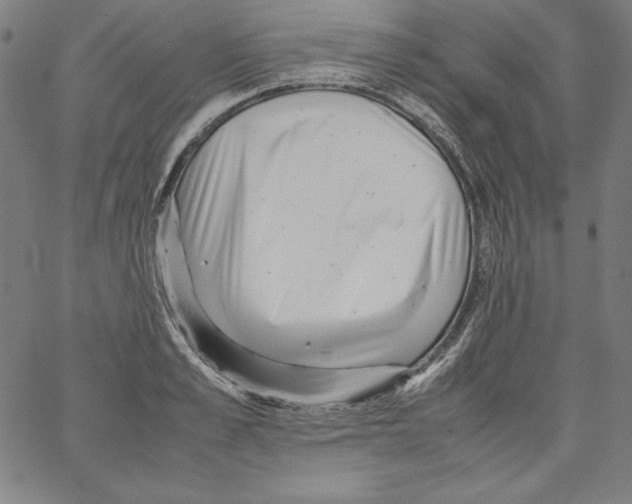 X0000066960989200604211837