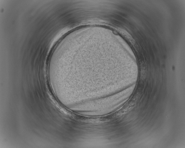 X0000066960990200604211837