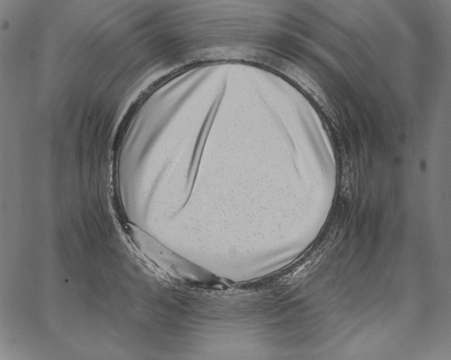 X0000066960992200604211837