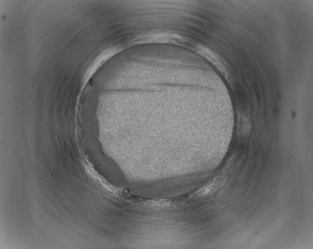 X0000066960994200604211837