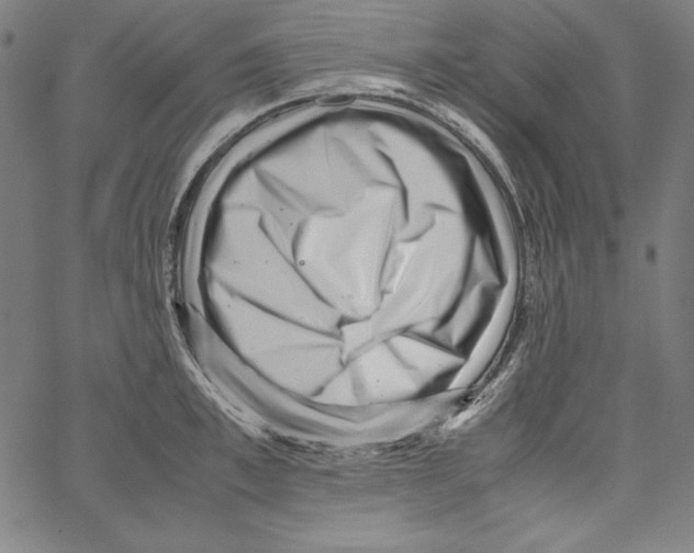 X0000066960997200604211837