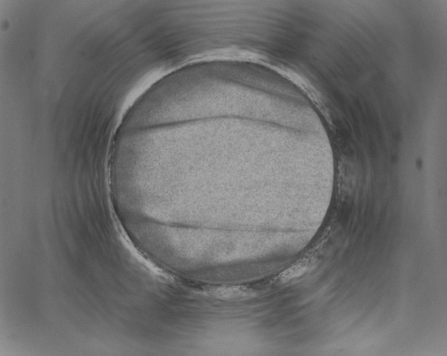 X0000066960998200604211837