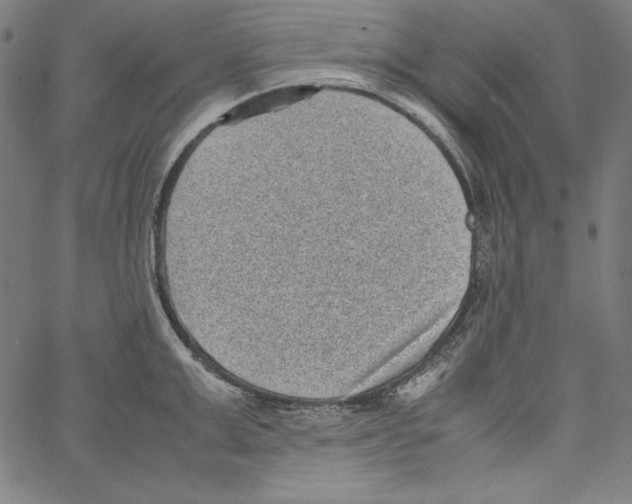 X0000066960999200604211837