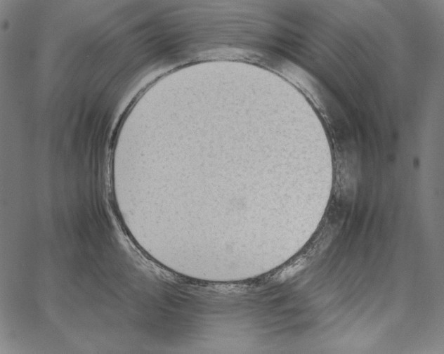 X0000066961000200604211837