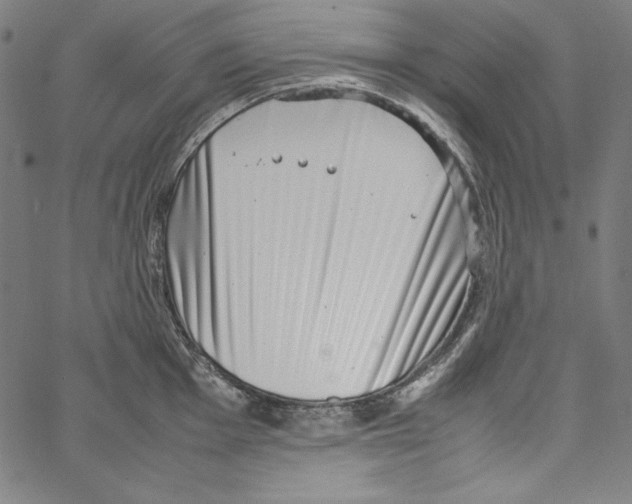 X0000066961001200604211837