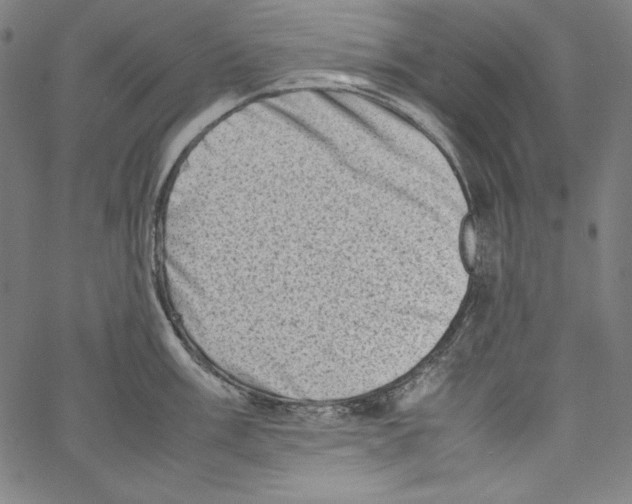 X0000066961003200604211836