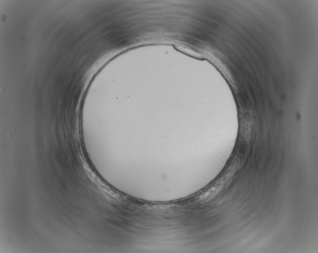 X0000066961004200604211836