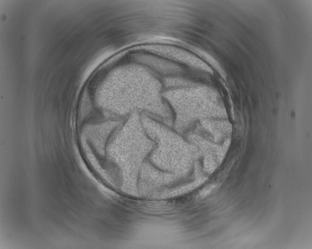 X0000066961007200604211836