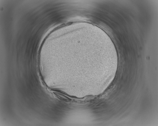 X0000066961008200604211836